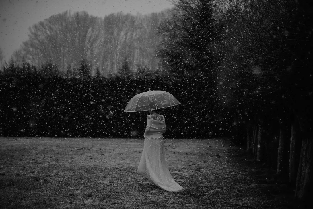 foto-pettine-PXYXdSoQFM8-unsplash